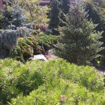 Allen Centennial Gardens - Parks Near Me - Madison, Wisconsin