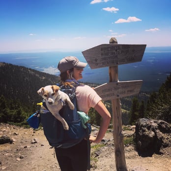 Humphrey's Trail - Hiking Near Me - Flagstaff, Arizona