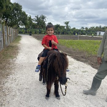 Tinez Farms - Pony ride - Attraction Farms Near Me - Miami, Florida Tinez Farms - Pony ride - Attraction Farms Near Me - Miami, Florida