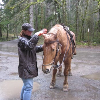 Equine Escapes - Horseback Riding Near Me - Issaquah, Washington Equine Escapes - Horseback Riding Near Me - Issaquah, Washington