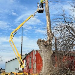 CK Tree Care