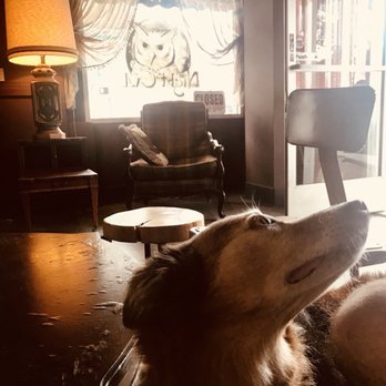 The Night Owl - Coffee & Tea Near Me - Fullerton, California The Night Owl - Coffee & Tea Near Me - Fullerton, California