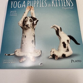 Rite Aid - a yoga puppies and kittens book - Drugstores Near Me - East Meadow, New York Rite Aid - a yoga puppies and kittens book - Drugstores Near Me - East Meadow, New York
