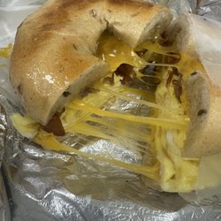Bagelicious Cafe Syosset