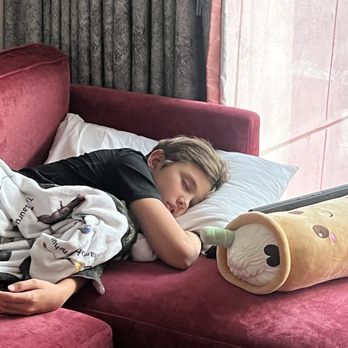 Flamingo Las Vegas - My kid was tired and in pain after getting elbowed in the eye by another kids elbow bc of staff negligence - Hotels Near Me - Las Vegas, Nevada Flamingo Las Vegas - My kid was tired and in pain after getting elbowed in the eye by another kids elbow bc of staff negligence - Hotels Near Me - Las Vegas, Nevada