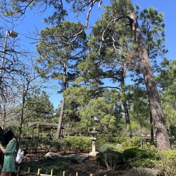 Japanese Garden - Botanical Gardens Near Me - Houston, Texas