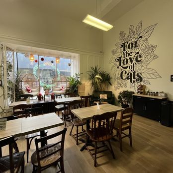 Purrista Cat Cafe - Inside cafe - Themed Cafes Near Me - Erie, Pennsylvania Purrista Cat Cafe - Inside cafe - Themed Cafes Near Me - Erie, Pennsylvania
