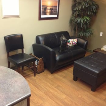 Tudor Glen Veterinary Hospital - Wonderfully large and pretty exam room. My pug "Sniper" is barely visible on the black couch. - Veterinarians Near Me - St Albert, Alberta Tudor Glen Veterinary Hospital - Wonderfully large and pretty exam room. My pug "Sniper" is barely visible on the black couch. - Veterinarians Near Me - St Albert, Alberta