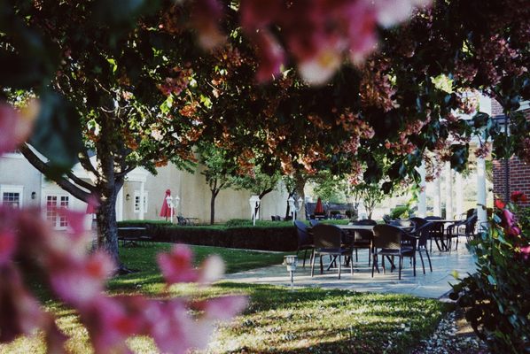 Monticello Vineyards by null
