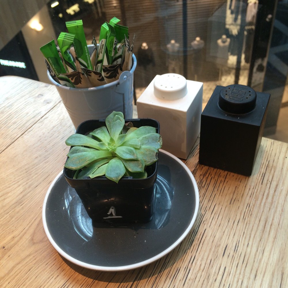 The Missing Piece - Lego S&P shakers. Genius. - Cafes Near Me - North Ryde, NSW The Missing Piece - Lego S&P shakers. Genius. - Cafes Near Me - North Ryde, NSW