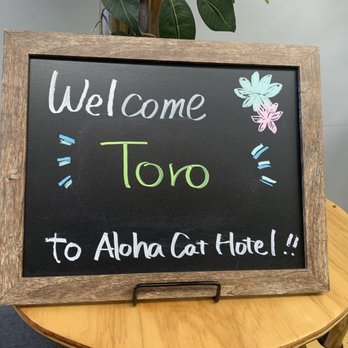 Aloha Cat Hotel - Toro welcome sign displayed upon check-in! - Pet Boarding Near Me - Honolulu, Hawaii Aloha Cat Hotel - Toro welcome sign displayed upon check-in! - Pet Boarding Near Me - Honolulu, Hawaii