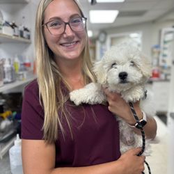 Ellicott Street Animal Hospital