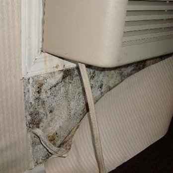 Motel 6 - is that Deadly Mold ? - Hotels Near Me - Bridgeview, Illinois