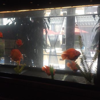 Mandarin Beijing - Chinese Near Me - Chula Vista, California