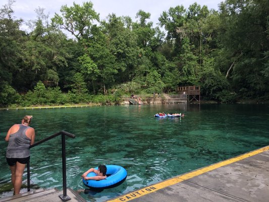 Fanning Springs State Park by null
