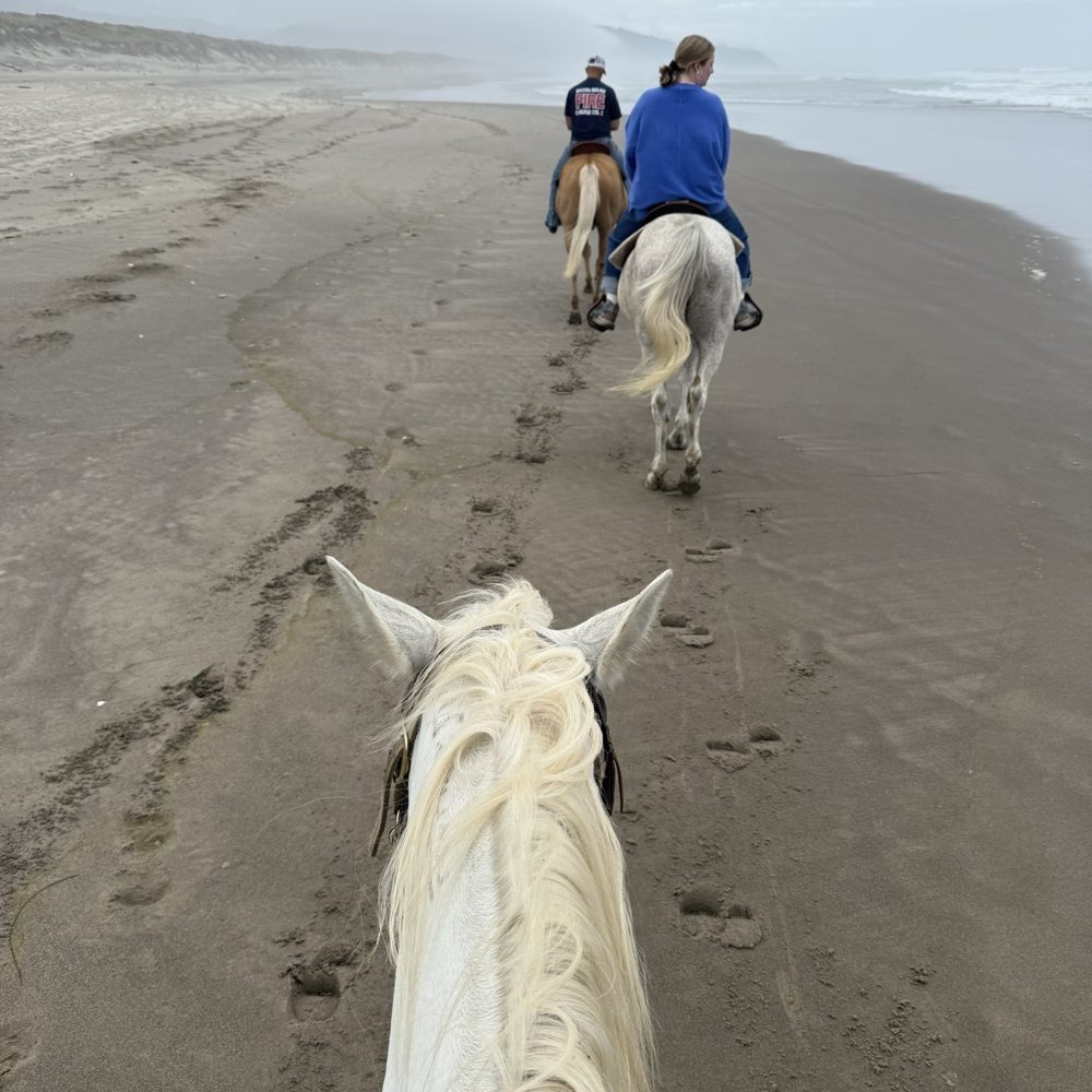 Ride along the beach Ride along the beach