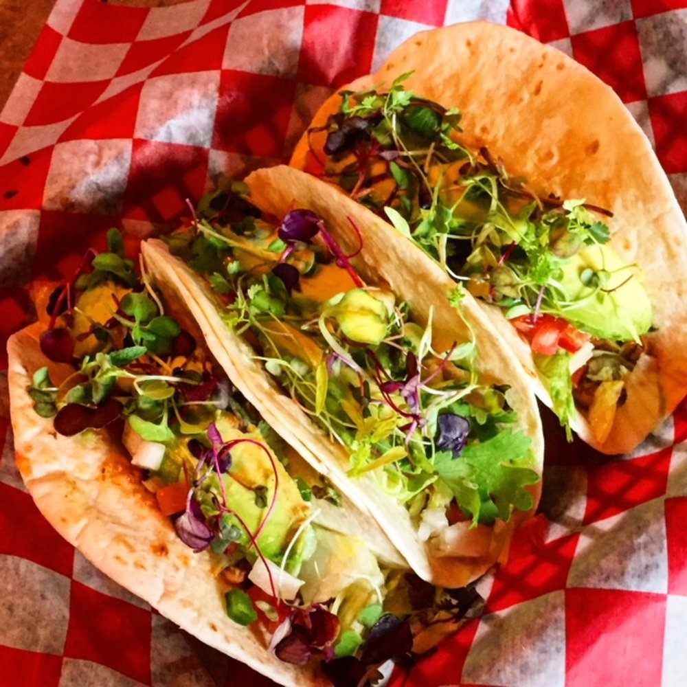 Sanctuary - 3 Soft Flour Shell BBQ Chicken Tacos - Tacos Near Me - Norfolk, Virginia Sanctuary - 3 Soft Flour Shell BBQ Chicken Tacos - Tacos Near Me - Norfolk, Virginia