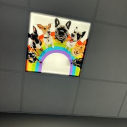 Resting Rainbow - Their ceiling tiles