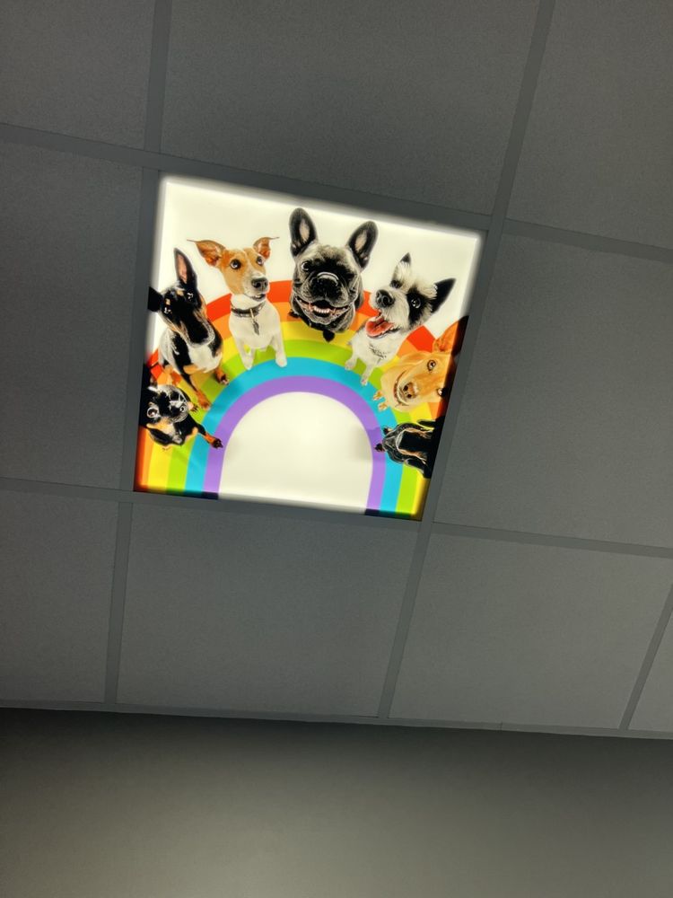 Resting Rainbow Image