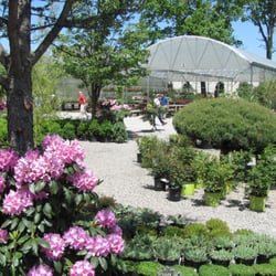 Meadowbrook Gardens