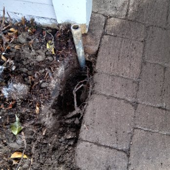 The PEST Group - Pest Control Near Me - Los Angeles, California