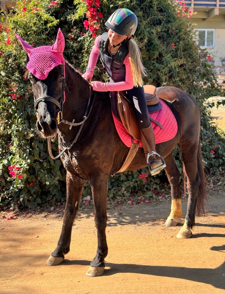 Salty Horse Stables - equestrian in San Marcos, CA