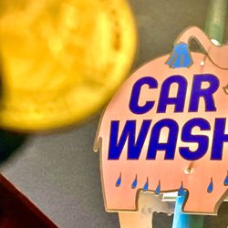 Squeaky clean coins have the Carolina Dog , an endangered species that the owner has as family members and is she is researching to 501c3