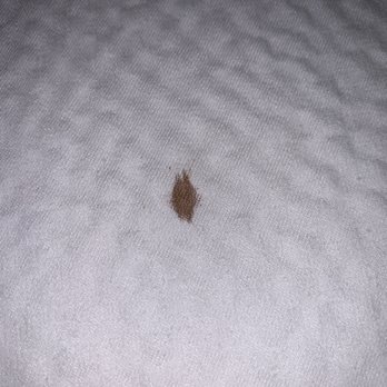 Courtyard by Marriott Parsippany - Close up showing stain - Hotels Near Me - Parsippany, New Jersey Courtyard by Marriott Parsippany - Close up showing stain - Hotels Near Me - Parsippany, New Jersey