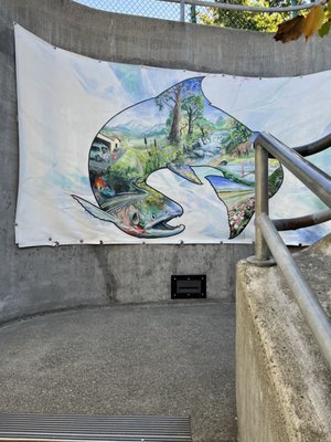 Ballard (Hiram M. Chittenden) Locks by null