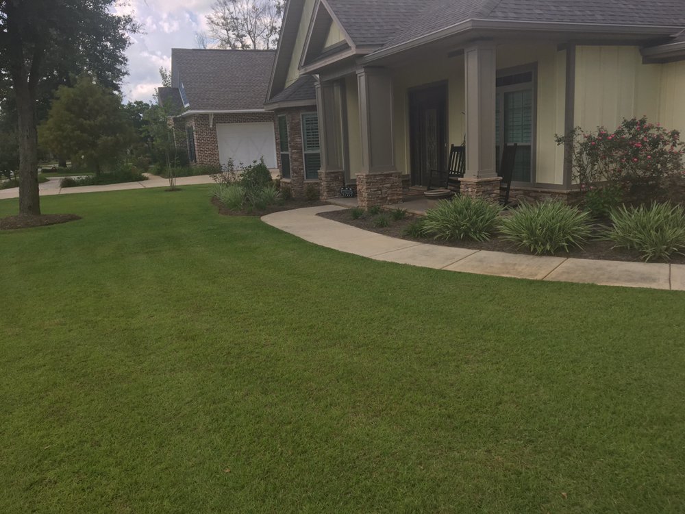 WILLOW TREE LANDSCAPING AND LAWN CARE Updated August 2024 Pensacola