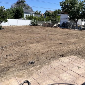 Oc Tree Care - Tree Services Near Me - Orange, California Oc Tree Care - Tree Services Near Me - Orange, California