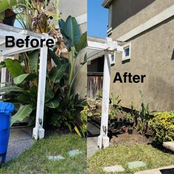 Ortega’s Tree Service