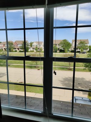 Window Cleaning Plus