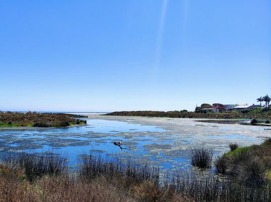 Malibu Lagoon State Beach by null