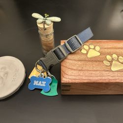 Gentle Hands Cherished Paws