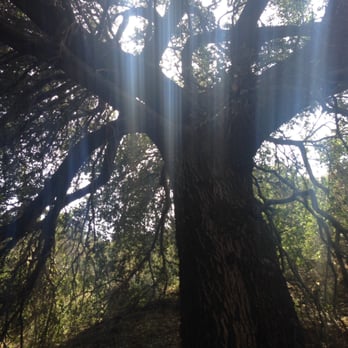 Paramount Ranch - Run trail hike - Landmarks & Historical Buildings Near Me - Agoura Hills, California