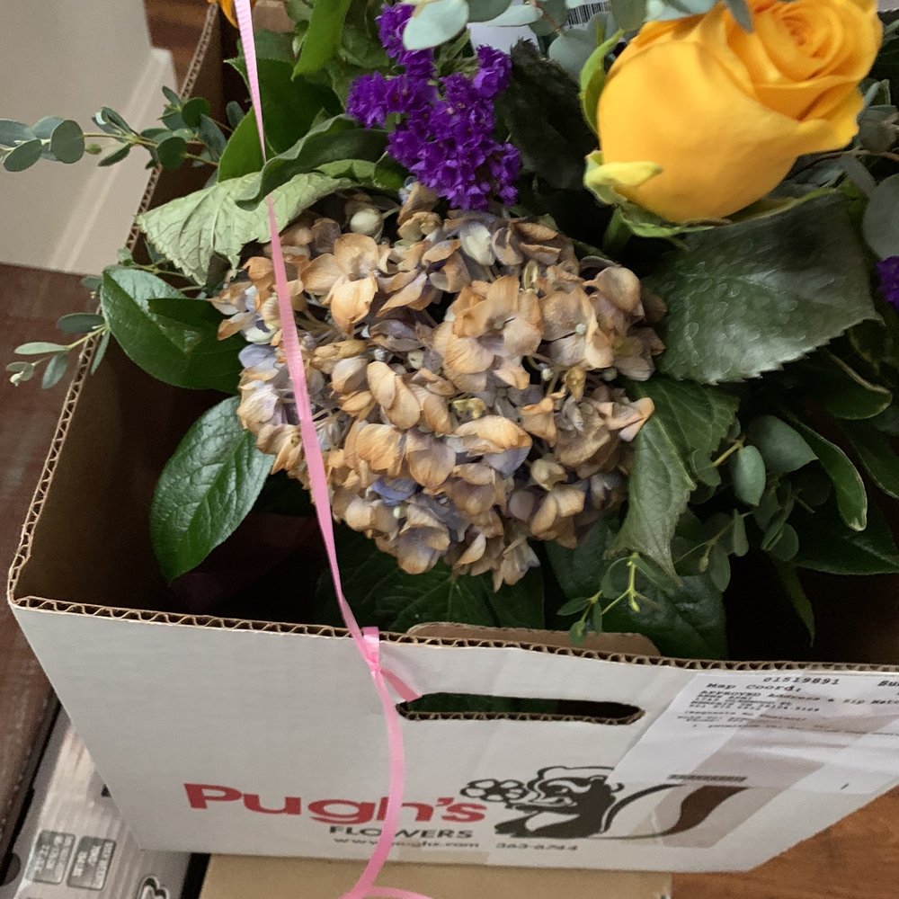 Same Day Flower Delivery Memphis Tn Best Flower Site