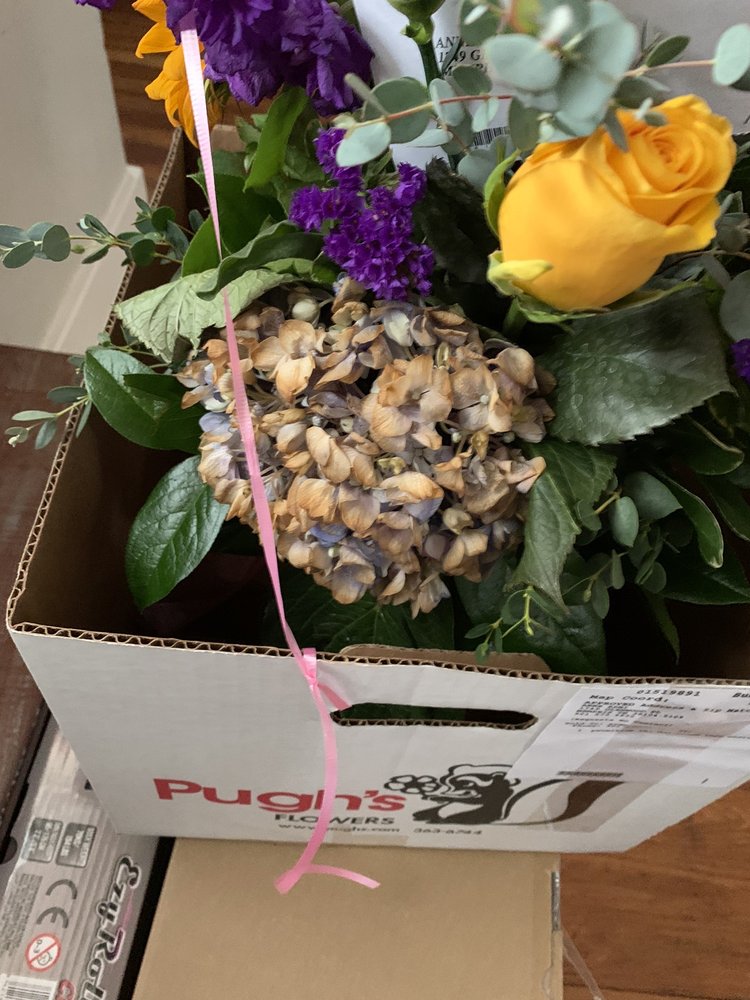 PUGH’S FLOWERS Updated September 2024 52 Photos & 55 Reviews 5645