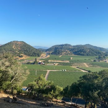 Baldacci Family Vineyards - Baldacci vineyard - Wineries Near Me - Napa, California Baldacci Family Vineyards - Baldacci vineyard - Wineries Near Me - Napa, California