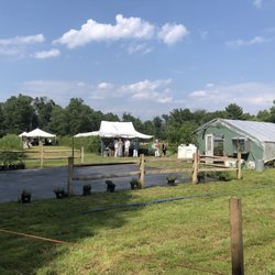 Great Meadow Farm - Cocktails tent