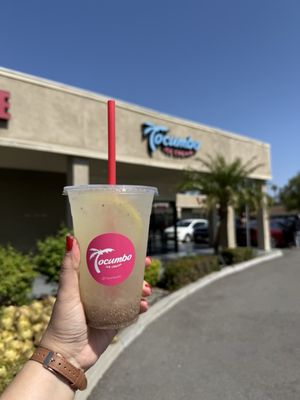 TOCUMBO ICE CREAM by null