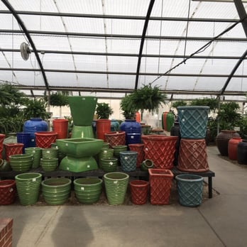 Tropical Greenery Nursery Stores - Nurseries & Gardening Near Me - North Richland Hills, Texas Tropical Greenery Nursery Stores - Nurseries & Gardening Near Me - North Richland Hills, Texas