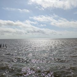 Lil Shark Park - Lil Shark Park, Cedar Key