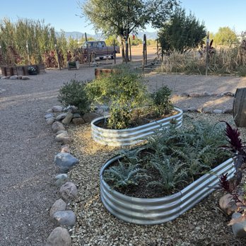 Coyote's Coffee Den - Things growing everywhere! - Coffee & Tea Near Me - Penrose, Colorado Coyote's Coffee Den - Things growing everywhere! - Coffee & Tea Near Me - Penrose, Colorado