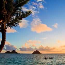 Cruise Holidays of Edina