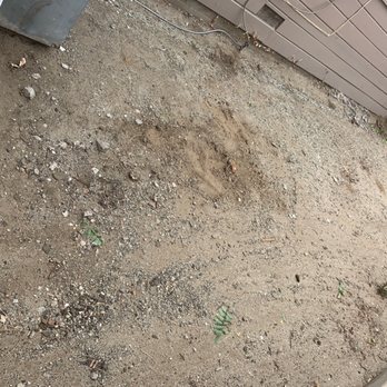 Efrain Tree Services - After - Tree Services Near Me
