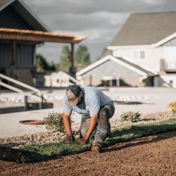 First Choice Landscape - Sod install landscape company