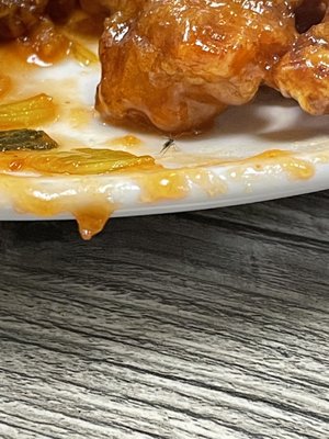 Golden Lake Eatery by null