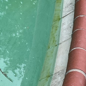 Chlorine King Pool Service - If you can believe it this is after the technician left. He left the pool like this. All around the entirety - Pool & Hot Tub Service Near Me Chlorine King Pool Service - If you can believe it this is after the technician left. He left the pool like this. All around the entirety - Pool & Hot Tub Service Near Me