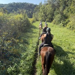 Chattahoochee Stables - Trail